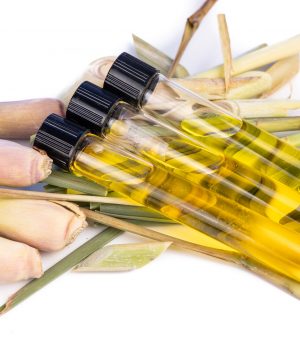 Lemongrass essential oil extract with test tubes against fresh lemongrass plant